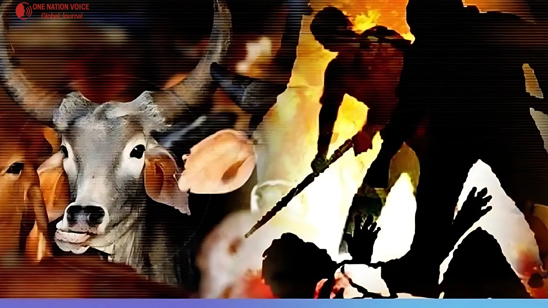 RSS-backed cow vigilantes fuel rising violence in India 1 Onv Article