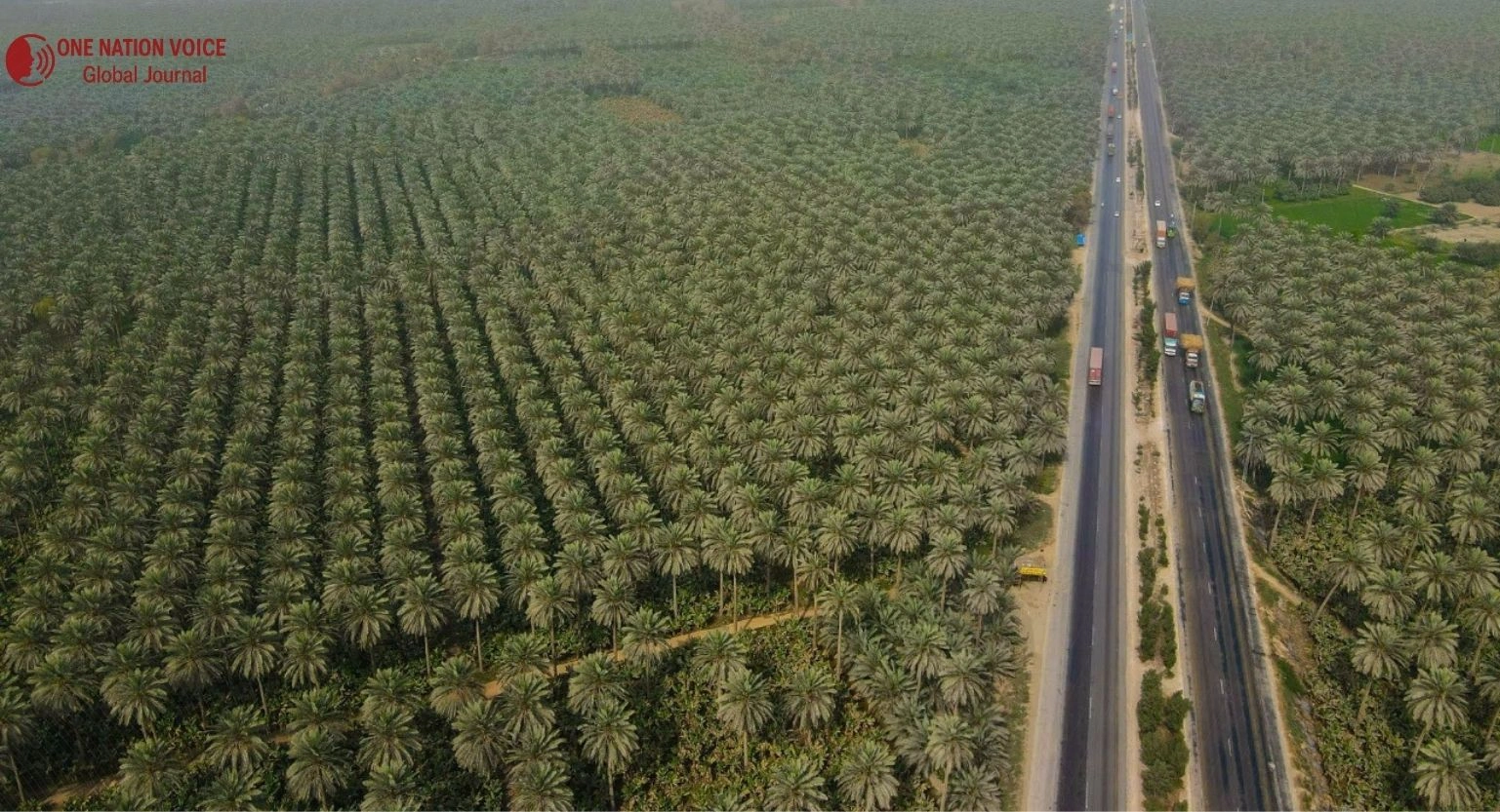 How do Sindh’s Farms Fuel National Prosperity Breadbasket of Pakistan 4 ONV