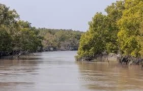 Drowned Lands, Displaced Lives Drowned Lands, Displaced Lives