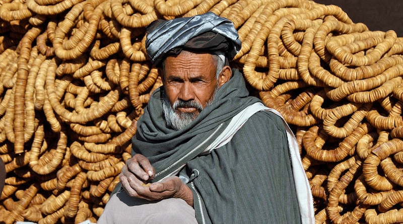 Pashtun Valor vs. PTM’s Deceit