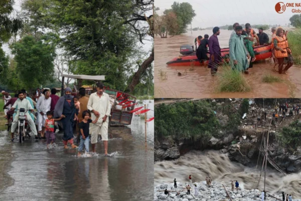 NDMA issues high-flood alert for Ravi as India releases water ONV NEws