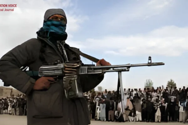 UN Confirms BLA–TTP Terror Nexus in Afghanistan, Validating Pakistan’s Stance on Cross-Border Attacks 3 ONV Article article hhg