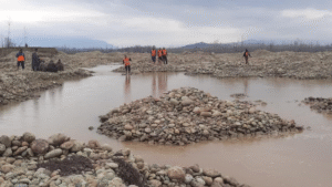 Between Protest and the Grave