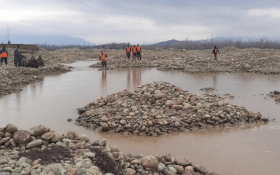Between Protest and the Grave