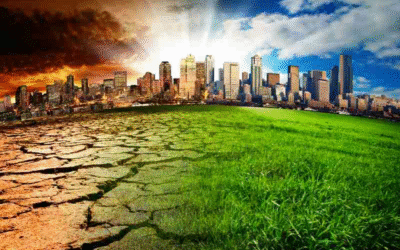 Climate Change and Environmental Degradation