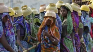 Southern States Face Marginalization in India