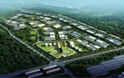 UAE-Pakistan Special Economic Zone Pact