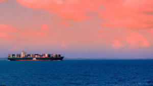 Navigating the Sea of Opportunity