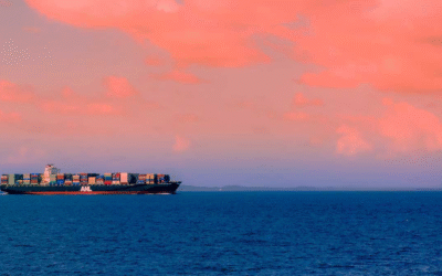 Navigating the Sea of Opportunity