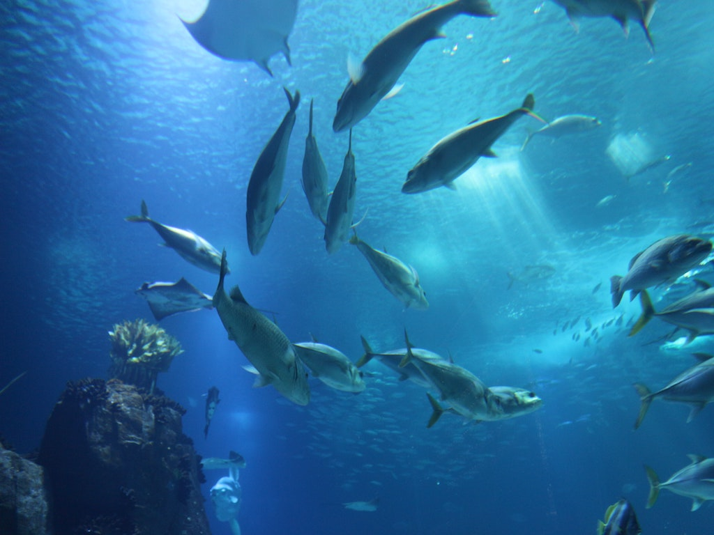 Revolution ASEAN’s Oceans