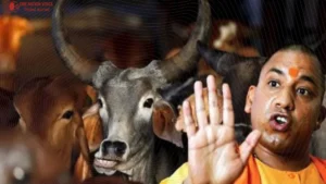 RSS-backed cow vigilantes fuel rising violence in India 3 Onv Article