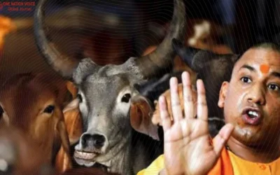 RSS-Backed Cow Vigilante Violence in India