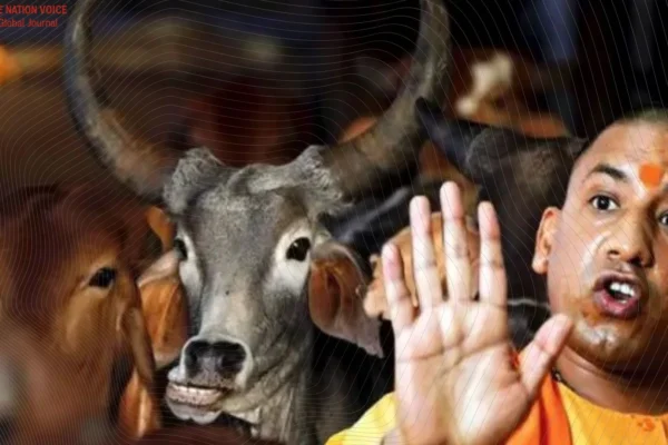 RSS-backed cow vigilantes fuel rising violence in India 3 Onv Article