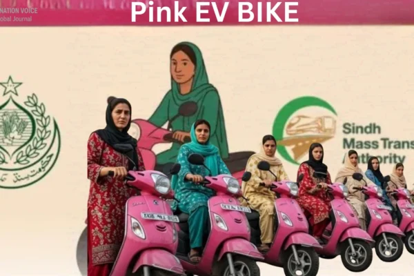 Step-by-Step Guide to Apply for Sindh Electric Motorcycle Scheme 1 ONV Articles