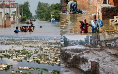 After the Floods Why Pakistan Needs Canals, Not Just Dams