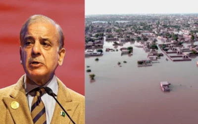 PM Shehbaz Calls on IMF to Consider Flood Damage in Review