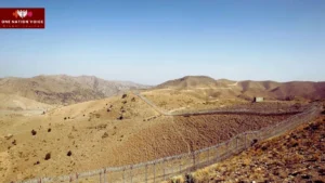 Pakistan and Afghanistan Between Brotherhood and Betrayal 111