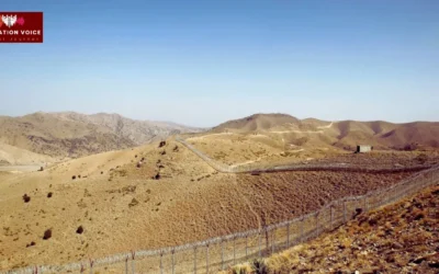 Pakistan and Afghanistan Between Brotherhood and Betrayal