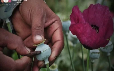 Afghanistan is Enduring Hub of the Global Narcotics Trade