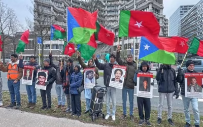 PTM, BNM, and the Politics of Internationalizing Domestic Issues