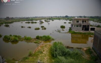 When Rivers Become Weapons: The Indus Crisis and the Future of Water in South Asia