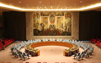 UNSC Reform Through the IGN